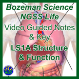 LS1A Structure and Function - NGSS Bozeman Life Science Gu