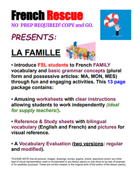 Preview of La Famille - vocabulary & grammar concepts - NO  PREP REQUIRED! COPY and GO