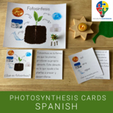 Fotosíntesis - Learning Pack in Spanish