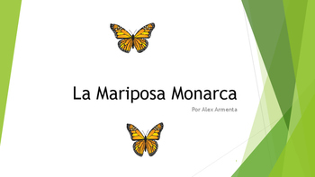Preview of La Mariposa Monarca