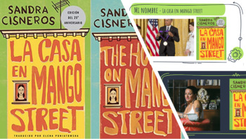 Preview of La casa en Mango Street Bundle: Questions for chapters & other activities