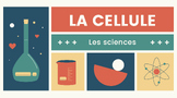 La cellule