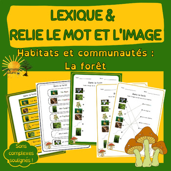 Preview of La forêt - Lexique et Relie l'image au mot - *French/en français*