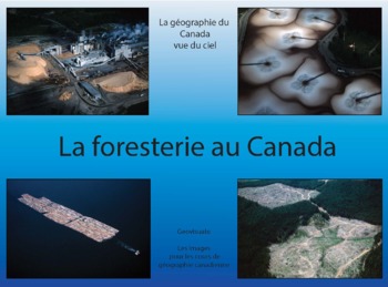 Preview of La foresterie au Canada (F227)