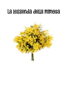 Preview of La leggenda della mimosa -- Novice Mid/High -- Italian reader
