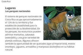 Preview of La naturaleza Nature Worksheet for Spanish 2 or 3 Google form version