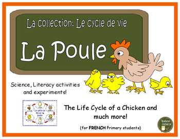 Preview of Le cycle de vie de la poule - French Chickens (life cycle, literacy and science)