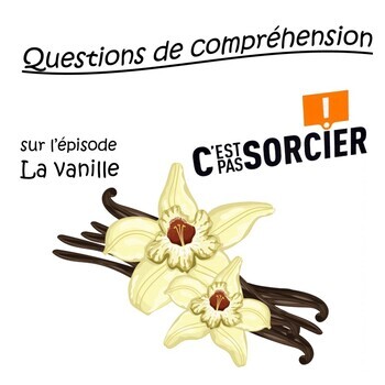 Preview of La vanille - Compréhension