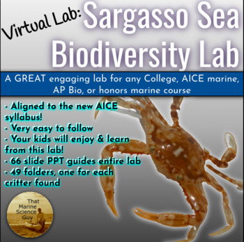 Preview of Lab: AP®Bio / AICE Marine: Sargasso Sea Biodiversity w/Simpson's Index