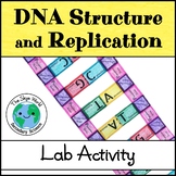 Lab Activity - DNA Structure and Replication