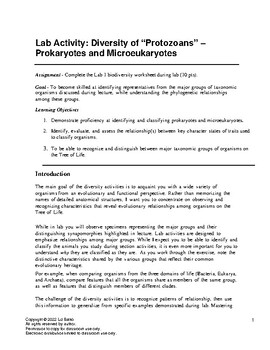 Preview of Lab Activity: Diversity of “Protozoans” – Prokaryotes and Microeukaryotes