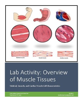 Preview of Lab Activity: Overview of Muscle Tissue (Skeletal, Smooth, Cardiac)