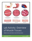 Lab Activity: Overview of Muscle Tissue (Skeletal, Smooth,