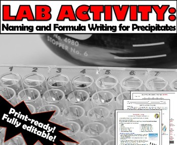 Preview of Lab Activity: Precipitation Reactions