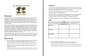 Beaks Of Finches Lab Worksheets Teaching Resources Tpt