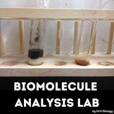 Lab - Biomolecules Analysis