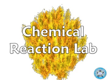 Preview of Lab: Chemical Reactions Lab