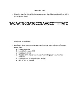 Preview of Lab: DNA, RNA and Karyotype Stations Activity