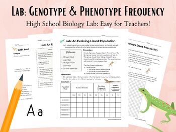 Preview of Lab: Genotype and Phenotype Frequency in Lizard Populations