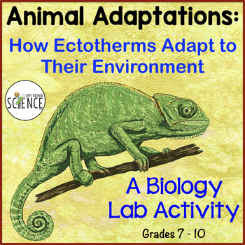 Animal Adaptations: How Ectotherms Adapt to Their Environment | TPT