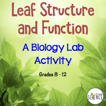 Preview of Leaf Structure Lab - Monocots and Dicots