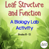 Leaf Structure Lab - Monocots and Dicots