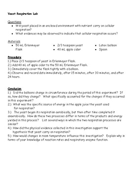 Lab Modeling Cellular Respiration With Yeast By Beth Harman Tpt