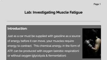 Preview of Lab: Muscle Fatigue due to Anaerobic Respiration