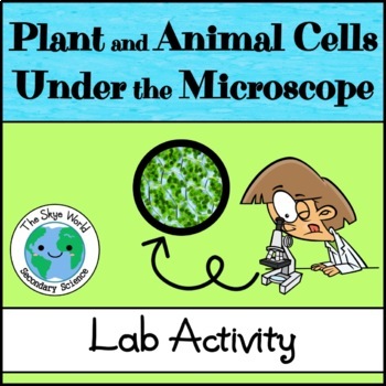 Comparing Plants And Animal Cells Teaching Resources | TPT