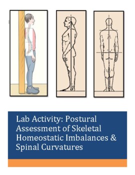Preview of Lab: Postural Assessment of Skeletal Imbalances & Spinal Curves-Virtual Friendly