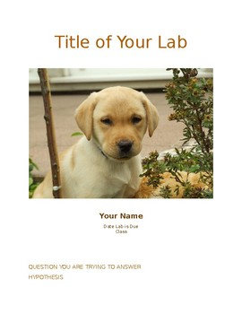 Preview of Lab Report Template With Rubric