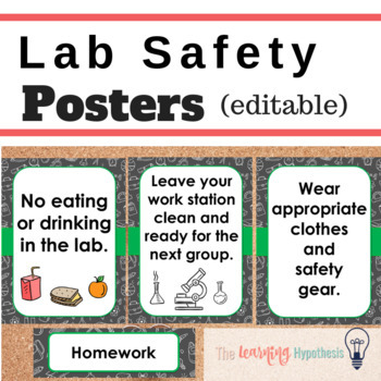 Preview of Lab Safety Posters (editable)