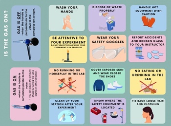 Preview of Lab Safety Rules Posters