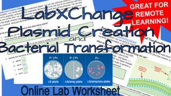 Preview of LabXChange Plasmids Creation and Bacterial Transformation Online Labs