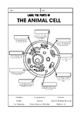 Label An Animal Cell