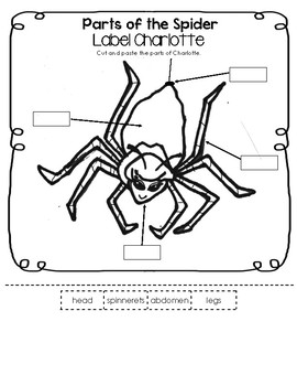 Label Charlotte - Parts of the Spider Worksheet (Simplified Version)