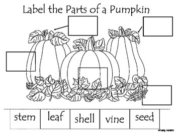 Preview of Label Parts of a Pumpkin