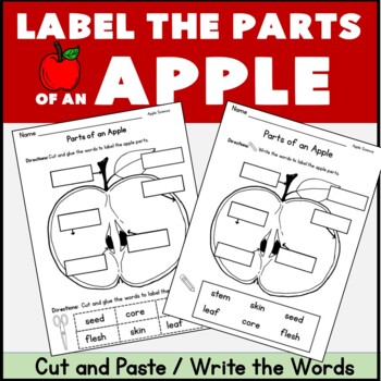 Preview of Parts of an Apple : Cut & Paste or Write to Label the Parts