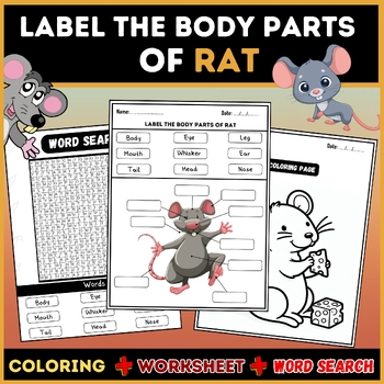 Preview of Label The Body parts of Rat:Word Search, Labeling, Worksheet, Coloring Pages