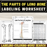 Label The Parts Of Long Bone Anatomy: September Labeling W