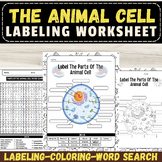 Label The Parts Of The Animal Cell Diagram: Anatomy Activi