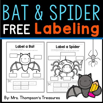 Preview of Label a Bat and Spider Science FREEBIE
