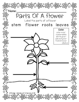 Flower-Label It by Kinder-Garden of Literacy | Teachers Pay Teachers