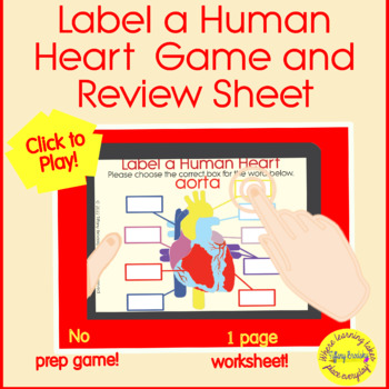 Preview of Label a Heart Game and Review Sheet (No Prep Game, Click and Play!)
