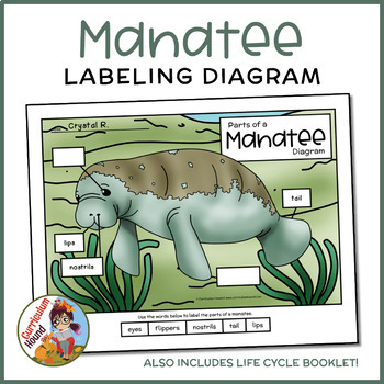Preview of Manatee Labeling Diagram - Parts of a Manatee Worksheet + Life Cycle Booklet
