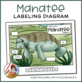 Manatee Labeling Diagram - Parts of a Manatee Worksheet + 
