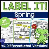 Kindergarten Spring Writing Prompts Activity, Labeling Pic