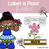 Label a Plant Interactive Google Slides Freebie
