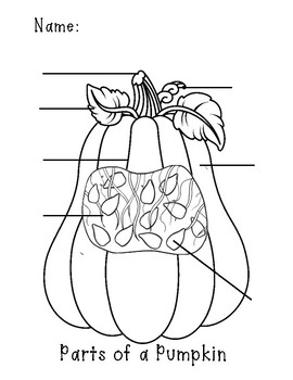 Label a Pumpkin! by Katie Sherlock | TPT