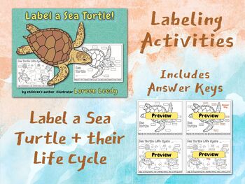 Preview of Label a Sea Turtle! {Body Parts Diagram}